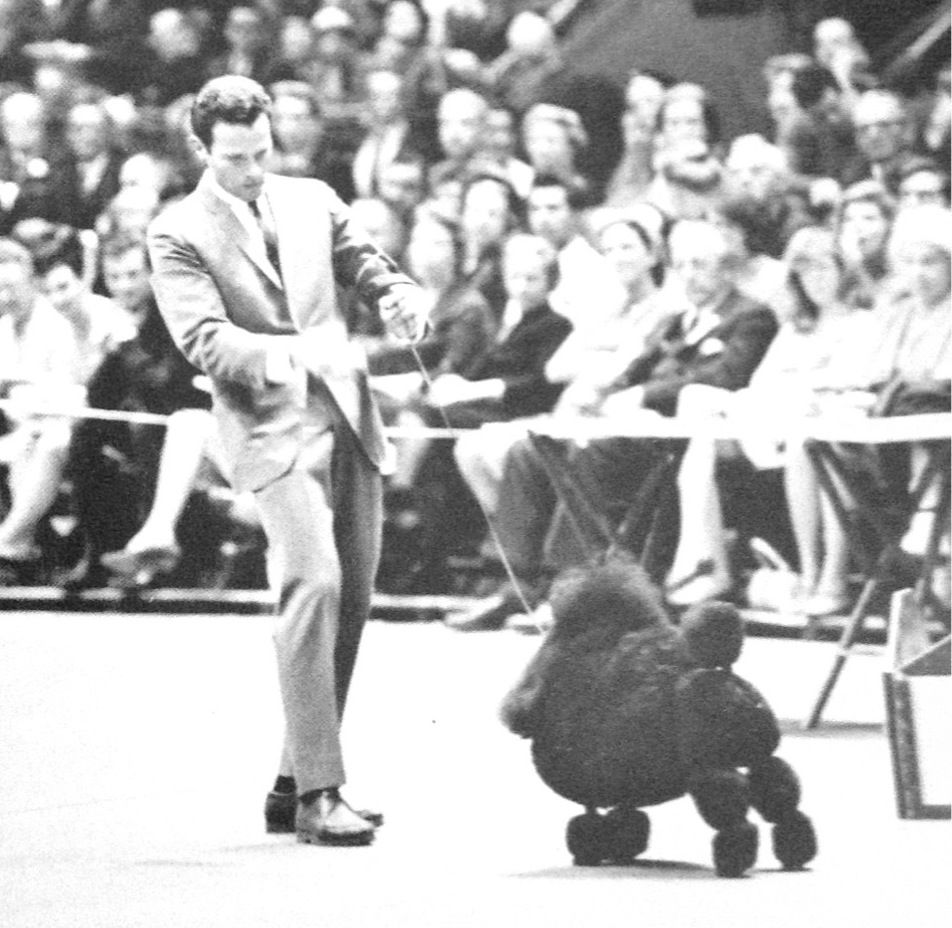 Editorial: September 25, 2020